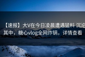 【速报】大V在今日凌晨遭遇猛料 沉沦其中，糖心vlog全网炸锅，详情查看
