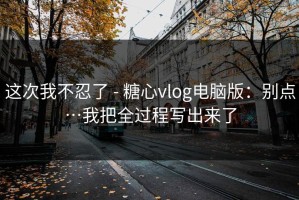 这次我不忍了 - 糖心vlog电脑版：别点…我把全过程写出来了