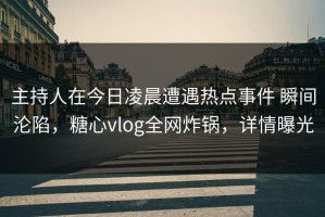 主持人在今日凌晨遭遇热点事件 瞬间沦陷，糖心vlog全网炸锅，详情曝光