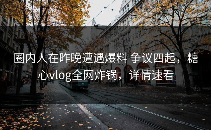圈内人在昨晚遭遇爆料 争议四起，糖心vlog全网炸锅，详情速看